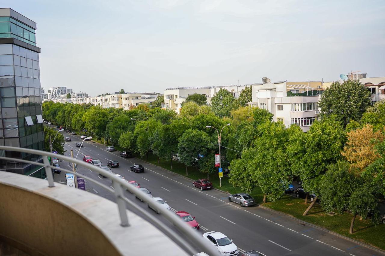 Penthouse With Huge Rooftop & Amazing City View Бухарест Экстерьер фото